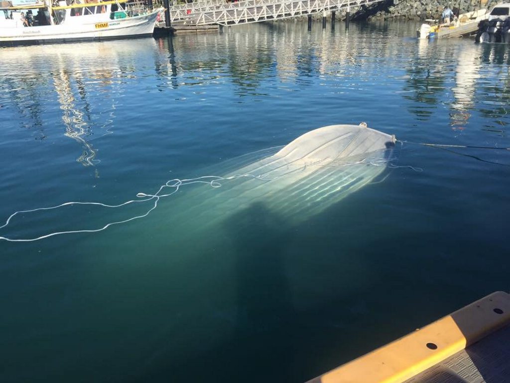 A tinnie owner found himself in strife at Mackay Harbour this morning. A tinnie owner found himself in strife at Mackay Harbour this morning.