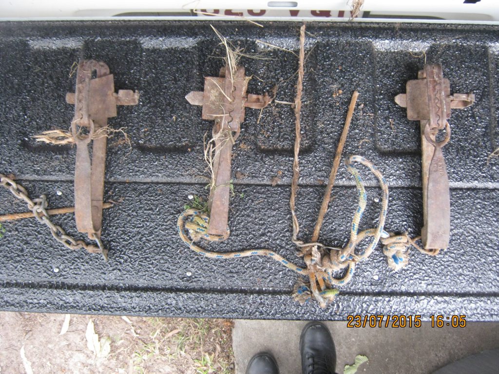 FOUND: Three traps, usually used to catch rabbits, found on the Bako's property by the RSPCA. FOUND: Three traps, usually used to catch rabbits, found on the Bako's property by the RSPCA.