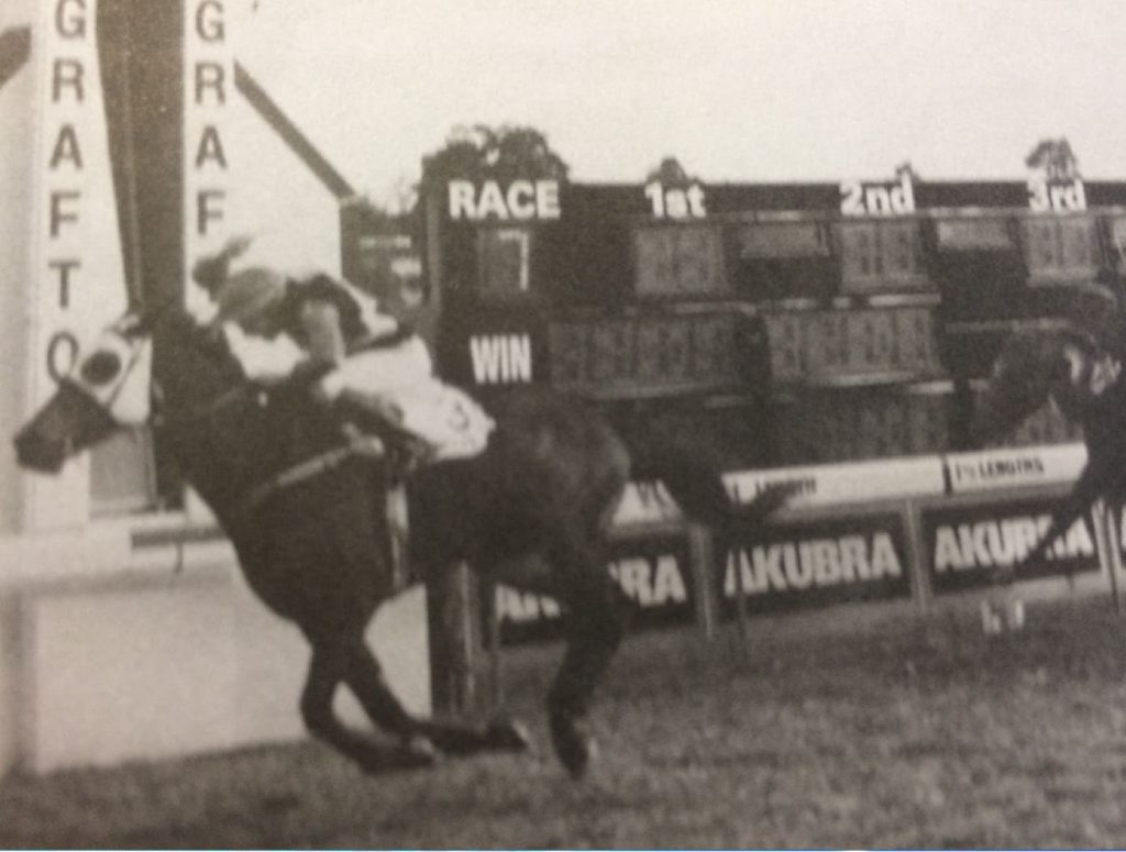 Akwazoff won the Grafton Cup in 1997. Akwazoff won the Grafton Cup in 1997.
