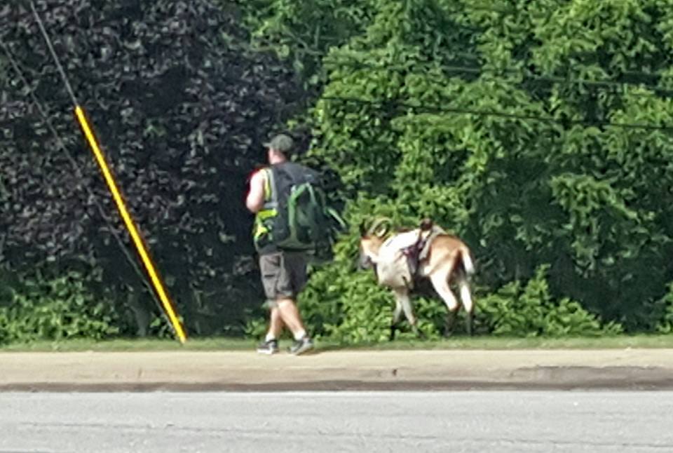 Steve Wescott is walking with his goat Miles across USA after he Steve Wescott is walking with his goat Miles across USA after he