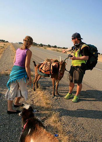 Steve Wescott is walking with his goat Miles across USA after he Steve Wescott is walking with his goat Miles across USA after he