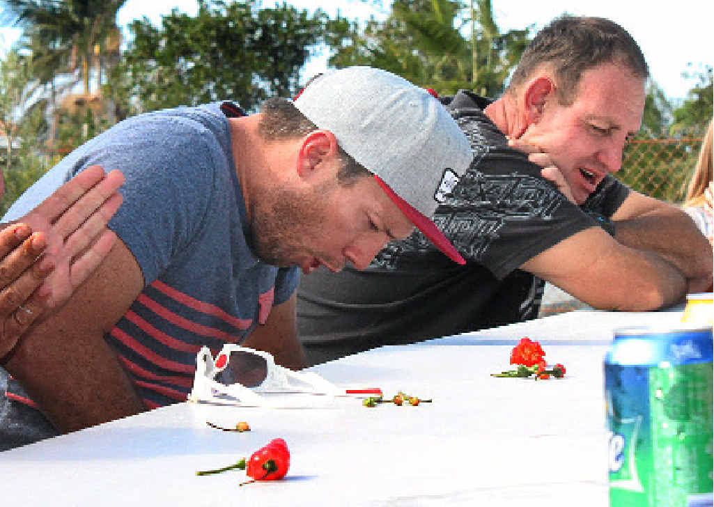 Red hot chilli peppers to hit festival at Yeppoon on weekend Morning
