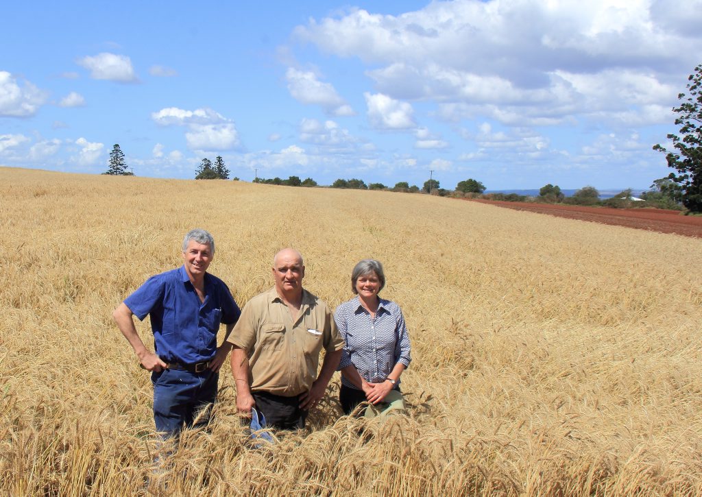 Kingaroy Concerned Citizen Group members John Dalton, Gary Tessmann and Neralie O'Sullivan. Kingaroy Concerned Citizen Group members John Dalton, Gary Tessmann and Neralie O'Sullivan.