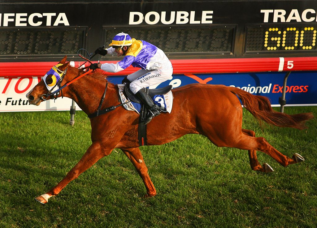 Robert Thompson drives The Jackal home to win a second Ramornie Handicap Photo The Daily Examiner Robert Thompson drives The Jackal home to win a second Ramornie Handicap Photo The Daily Examiner