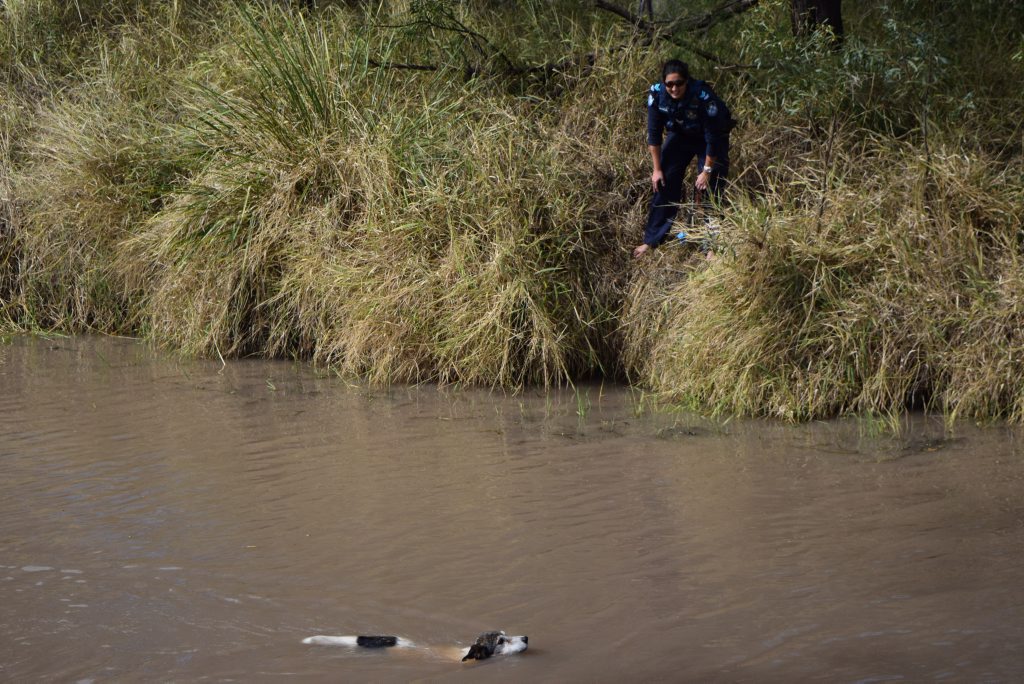 Police attempt to rescue the dog. Photo Contributed Police attempt to rescue the dog. Photo Contributed