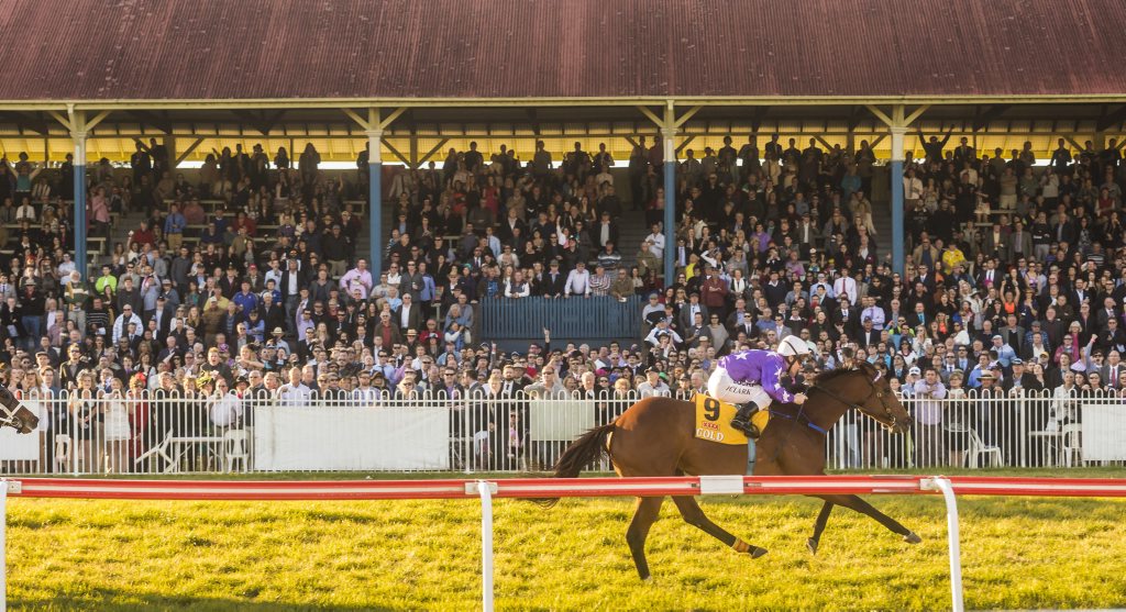 Queenstown shoots to the lead to easily win the 2014 Grafton Cup. Photo Adam Hourigan / The Daily Examiner Queenstown shoots to the lead to easily win the 2014 Grafton Cup. Photo Adam Hourigan / The Daily Examiner