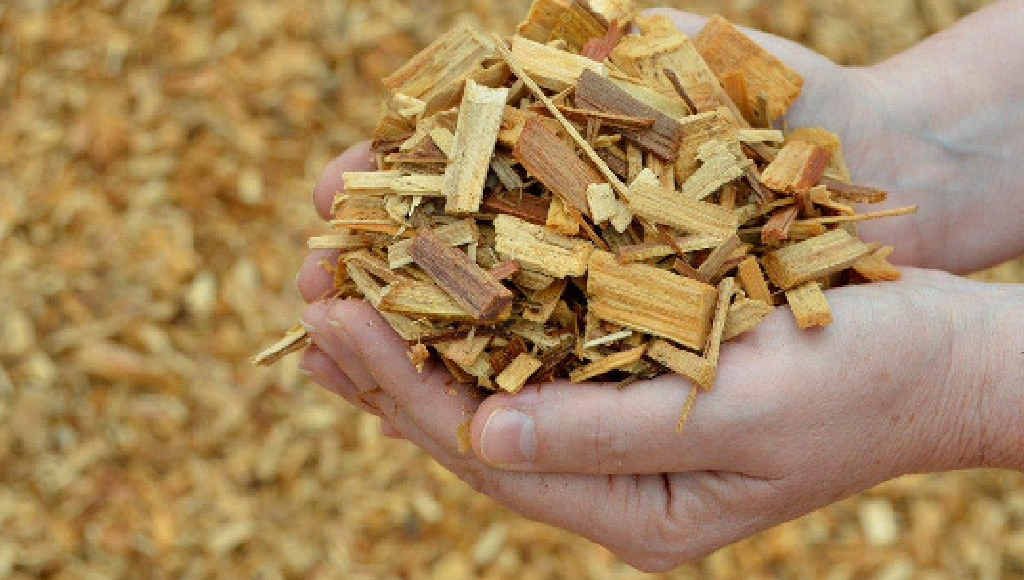 MIGHTY MULCH: Cypress Mulch is a natural termite resistant mulch obtained from the Western Queensland White Cypress. MIGHTY MULCH: Cypress Mulch is a natural termite resistant mulch obtained from the Western Queensland White Cypress.