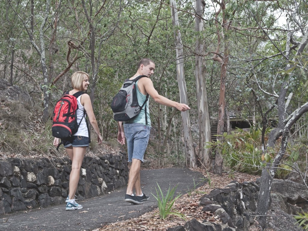 Denmark Hill is a popular choice for local bushwalking groups. Source: Ipswich City Council. Denmark Hill is a popular choice for local bushwalking groups. Source: Ipswich City Council.