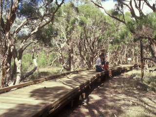 Purga Nature Reserve has walks perfect for the whole family. Source: Ipswich City Council. Purga Nature Reserve has walks perfect for the whole family. Source: Ipswich City Council.