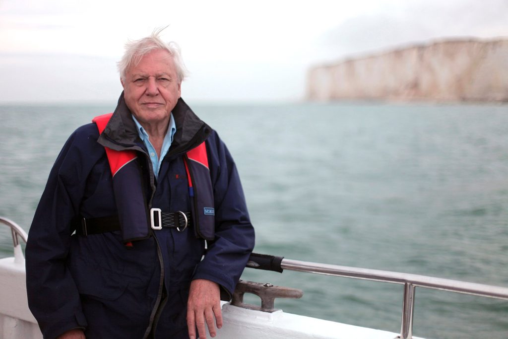 Sir David Attenborough in a scene from the TV special The Death of the Oceans. Sir David Attenborough in a scene from the TV special The Death of the Oceans.