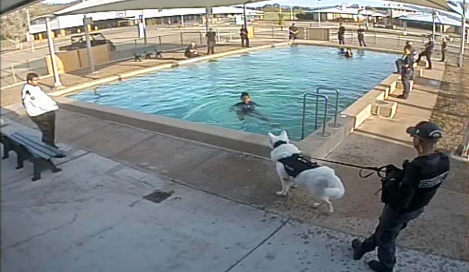 A photo released by Amnesty International Australia showing a guard allegedly using an unmuzzled dog to scare a young woman attempting to get out of the pool. A photo released by Amnesty International Australia showing a guard allegedly using an unmuzzled dog to scare a young woman attempting to get out of the pool.