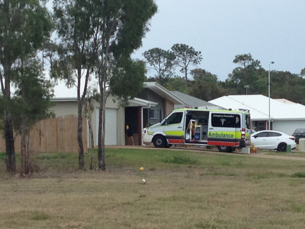 KANGAROO ATTACK: A little girl from Point Vernon was taken to hospital after a roo scratched her face and chest in the property next to her home. KANGAROO ATTACK: A little girl from Point Vernon was taken to hospital after a roo scratched her face and chest in the property next to her home.