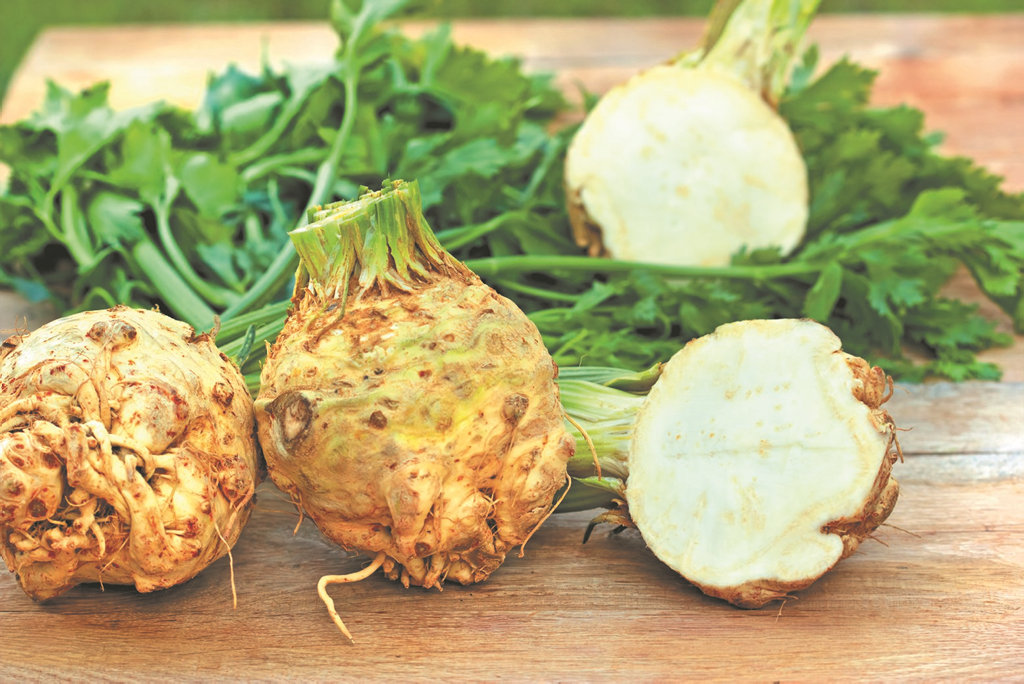 Get your free celeriac seeds with today's paper. Get your free celeriac seeds with today's paper.