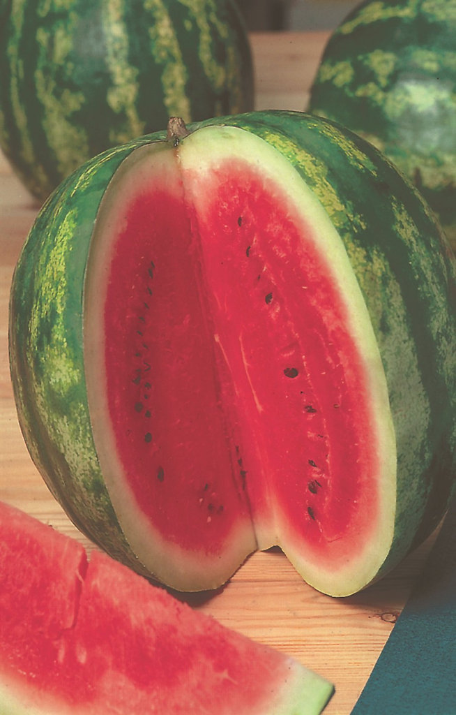 Get your Watermelon Crimson Red seeds with the paper today. Get your Watermelon Crimson Red seeds with the paper today.