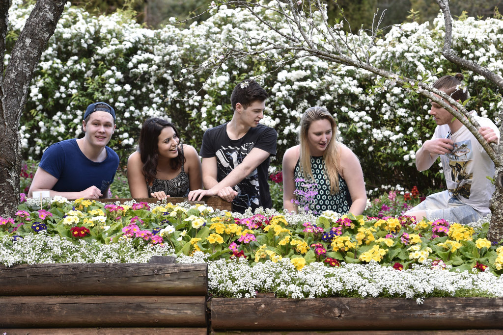 Spring Bluff Railway Station during Carnival of Flowers. 