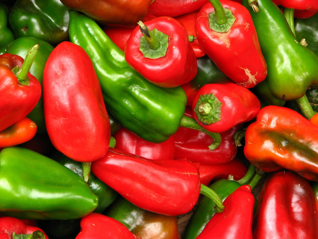 Get your Chilli Anaheim seeds with the paper today. Get your Chilli Anaheim seeds with the paper today.
