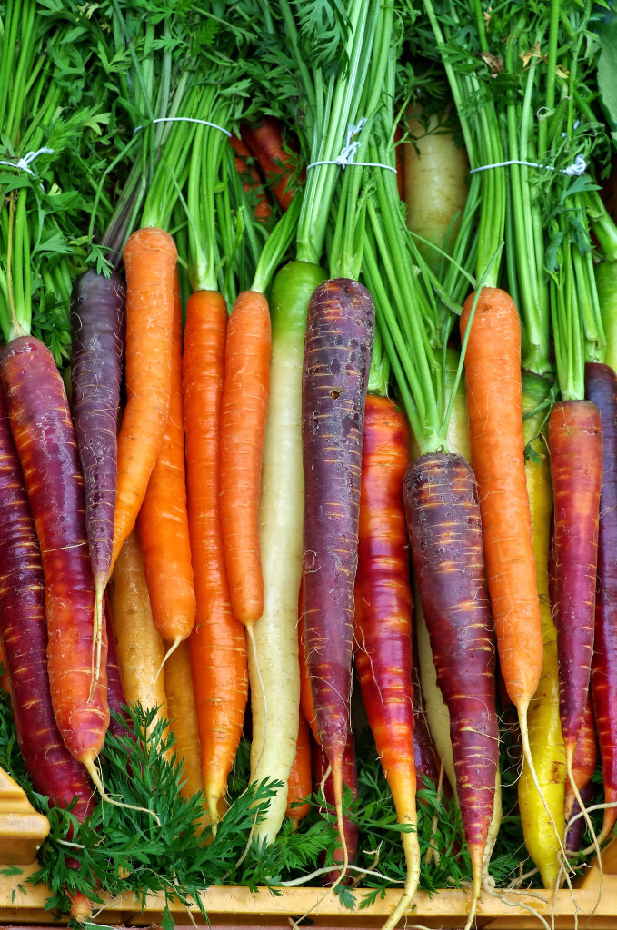 Get your Carrot Carnival Mix seeds with the paper today. Get your Carrot Carnival Mix seeds with the paper today.