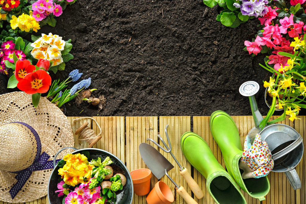 Win a trip to Melbourne to the International Flower Show. Win a trip to Melbourne to the International Flower Show.