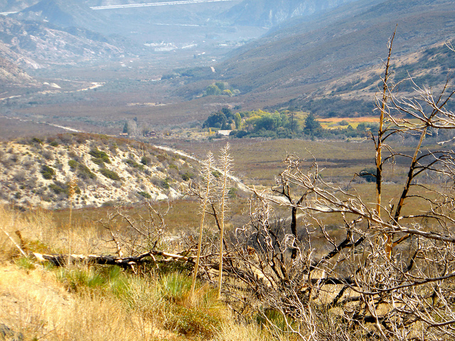 The landscape along the San Andreas fault. Photo by Michael R Perry. The landscape along the San Andreas fault. Photo by Michael R Perry.