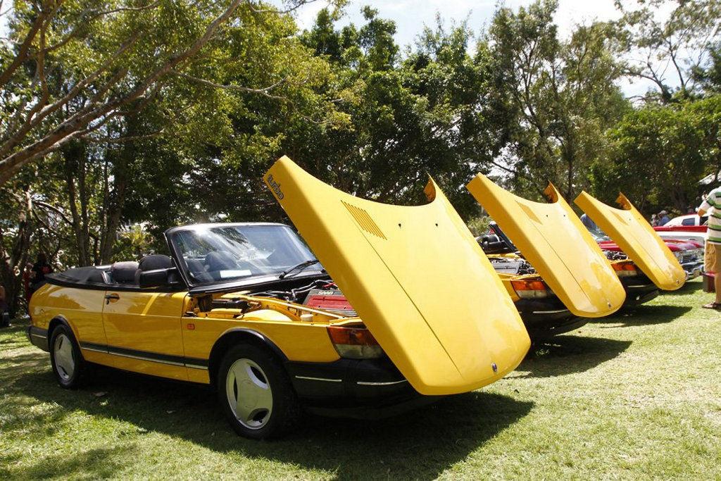 A trio of yellow Saab 900 Convertibles at the 2016 Noosa Beach Classic Car Show.Photo: Iain Curry A trio of yellow Saab 900 Convertibles at the 2016 Noosa Beach Classic Car Show.Photo: Iain Curry