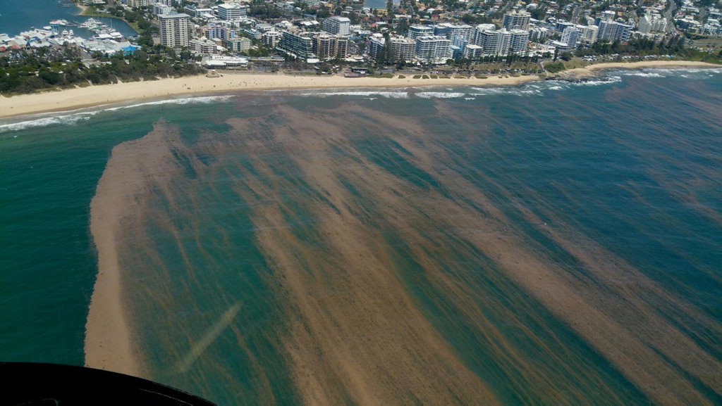 Coral spawn, and sea lice along with it, has been blown into Mooloolaba bay on the north-easterly winds. Coral spawn, and sea lice along with it, has been blown into Mooloolaba bay on the north-easterly winds.