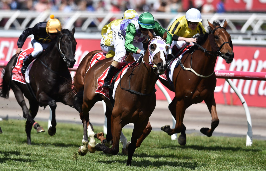 Last year's Melbourne Cup winner Prince of Penzance with Jockey Michelle Payne. Last year's Melbourne Cup winner Prince of Penzance with Jockey Michelle Payne.