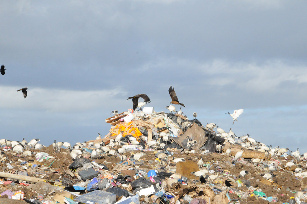 SOUTHSIDE residents will be forced to dump their rubbish at the Bonnick Rd site (pictured) when the Southside dump shuts next year. SOUTHSIDE residents will be forced to dump their rubbish at the Bonnick Rd site (pictured) when the Southside dump shuts next year.