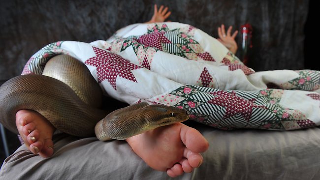 Waking up with a snake in your bed would be terrifying for most people (file photo). Waking up with a snake in your bed would be terrifying for most people (file photo).