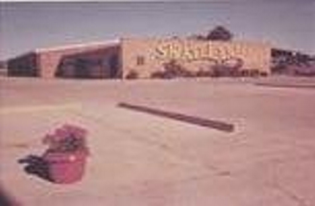 Get your skates on Gympie; the rink is back Gympie Times