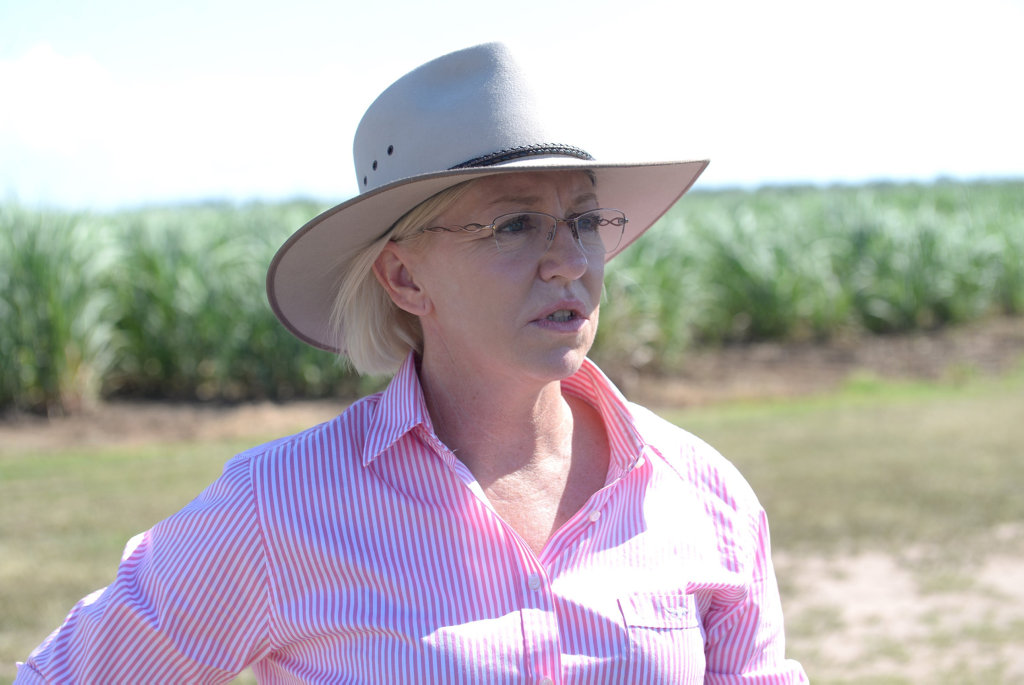 Minister for Agriculture and Fisheries Leanne Donaldson.Photo: Mike Knott / NewsMail Minister for Agriculture and Fisheries Leanne Donaldson.Photo: Mike Knott / NewsMail