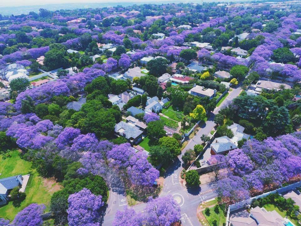 no this is not an aerial photo of grafton grafton daily examiner