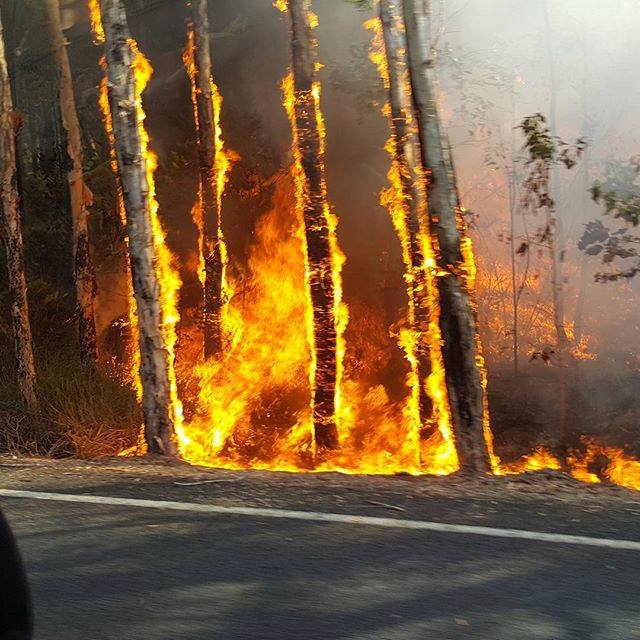 Blaze at Bogangar last weekend. Blaze at Bogangar last weekend.