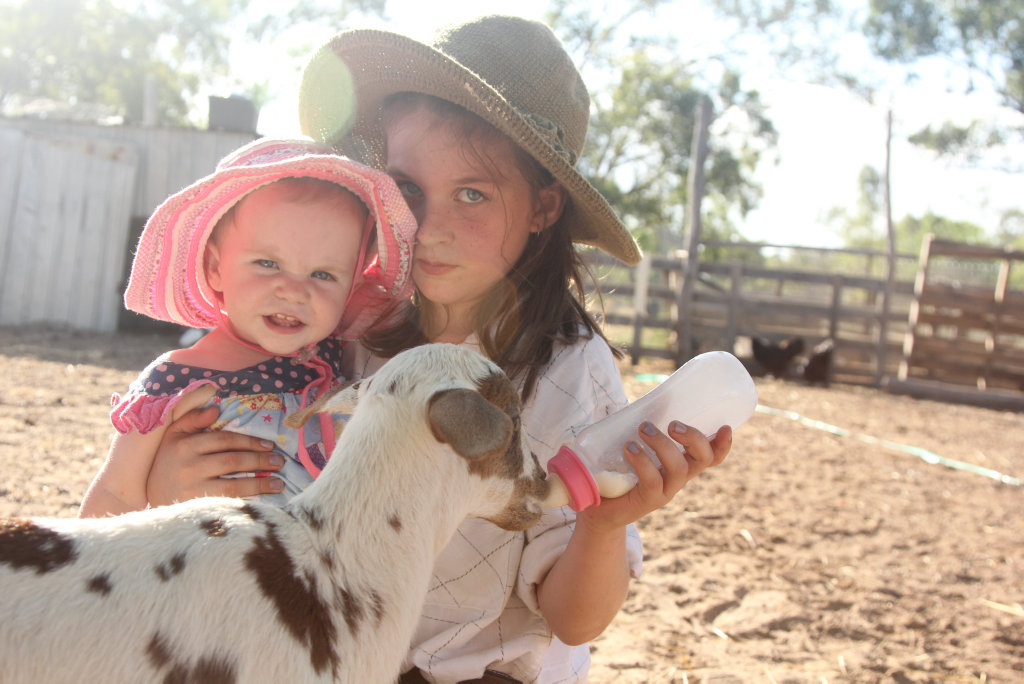 Maddison and Letty Toms feeding thier pet goat at Ody's Acres.
