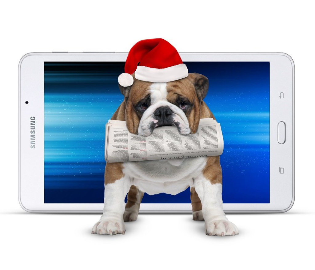 Fetch a cracker deal this Christmas! Fetch a cracker deal this Christmas!