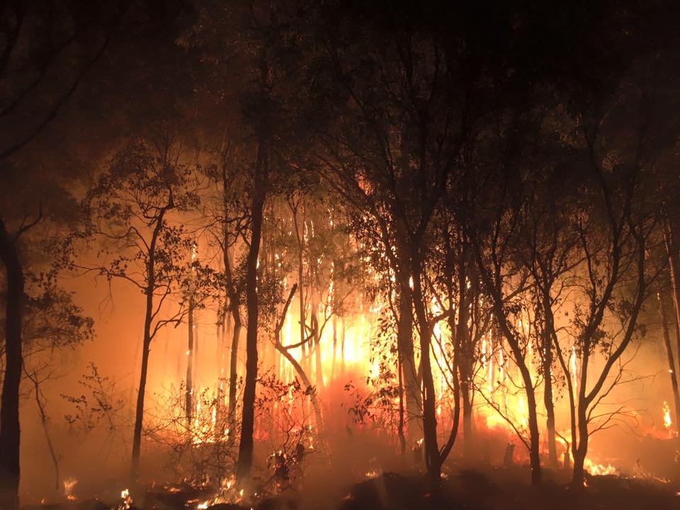 Photos showing the backburning effort at Calavos on Monday. Photos showing the backburning effort at Calavos on Monday.