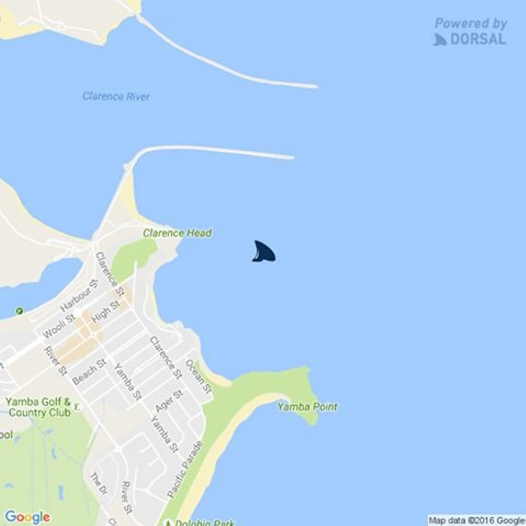 Official Shark Report: NSW - NORTHERN NSW - MAIN BEACH RECEIVER ? YAMBA. 19:34, 25 Nov 16, Bull, Receiver Tag, DPI Fisheries advise: tagged bull shark detected by Main Beach, Yamba receiver at 07:34:00 PM (AEDT) on 25-Nov-2016 Official Shark Report: NSW - NORTHERN NSW - MAIN BEACH RECEIVER ? YAMBA. 19:34, 25 Nov 16, Bull, Receiver Tag, DPI Fisheries advise: tagged bull shark detected by Main Beach, Yamba receiver at 07:34:00 PM (AEDT) on 25-Nov-2016