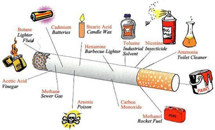 What’s in your cigarette? What’s in your cigarette?