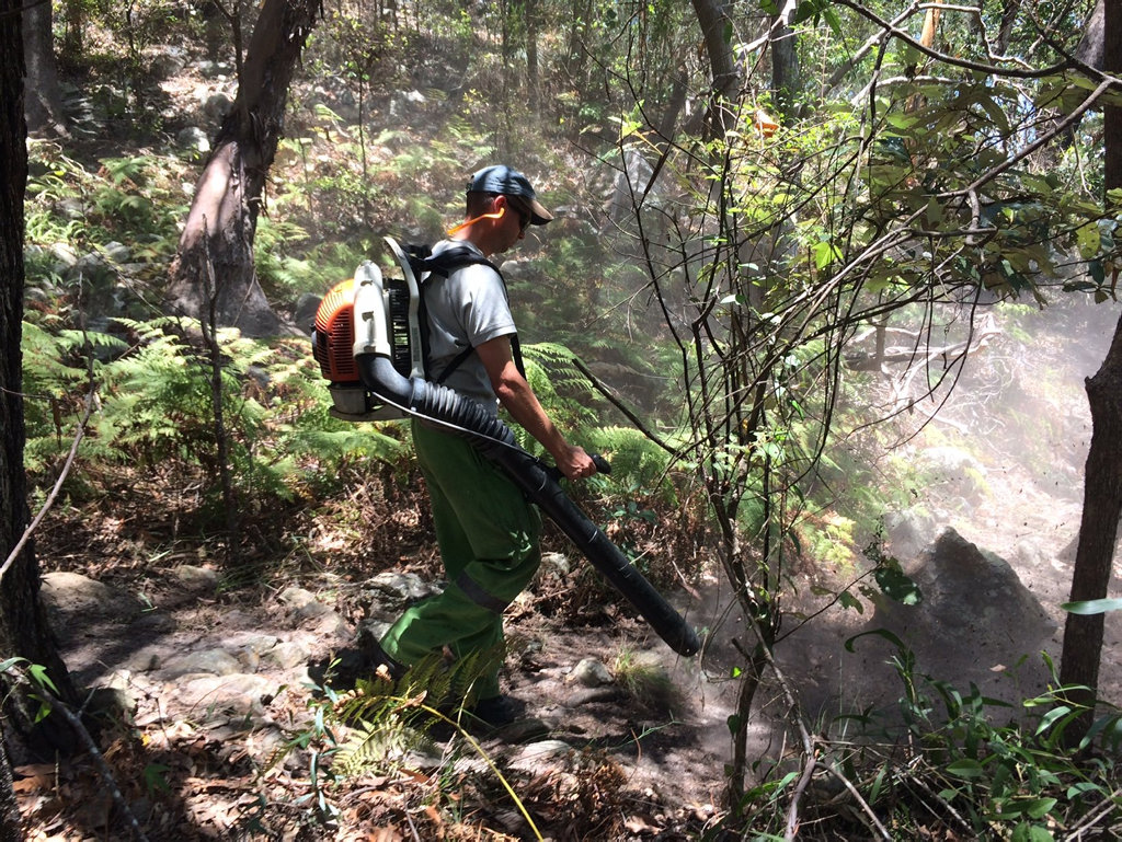 A Queensland parks and wild life service officer uses a leaf blower to clear a break at the rear of homes. A Queensland parks and wild life service officer uses a leaf blower to clear a break at the rear of homes.