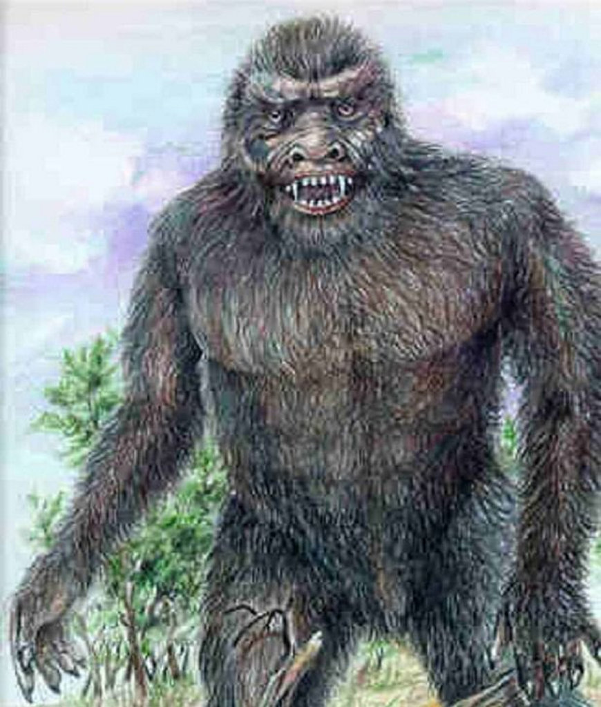 Yowie. Illustrations by Bill Rasmussen Yowie. Illustrations by Bill Rasmussen
