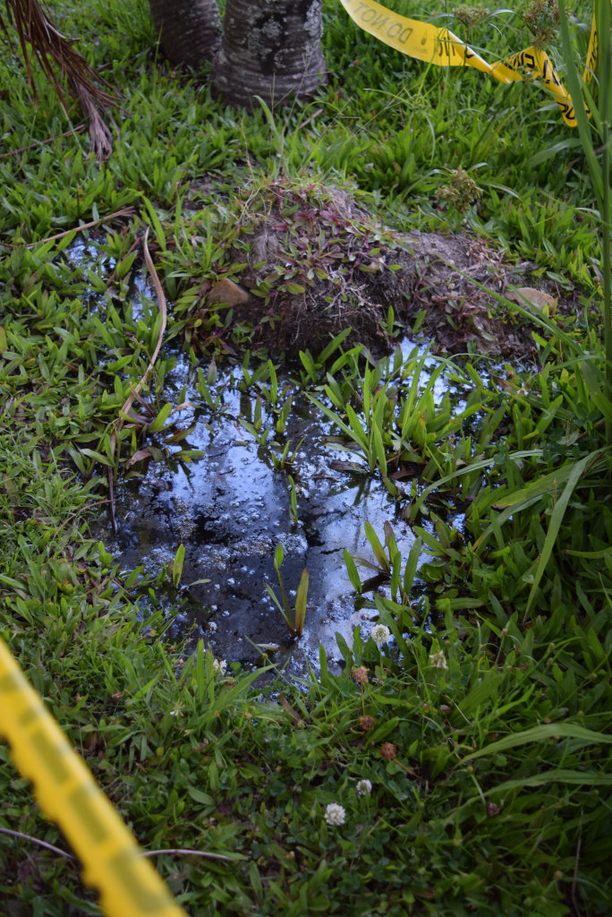 Water pools in a hole in a footpath at the intersection of Harrier and Tarver streets in Aroona. Water pools in a hole in a footpath at the intersection of Harrier and Tarver streets in Aroona.