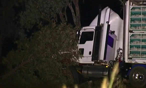Preliminary investigations indicate the truck and sedan collided on the highway approximately 3km south of Warrill View. Preliminary investigations indicate the truck and sedan collided on the highway approximately 3km south of Warrill View.