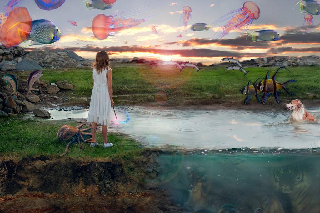 Have we lost the art of imagination? Image: Canon Have we lost the art of imagination? Image: Canon
