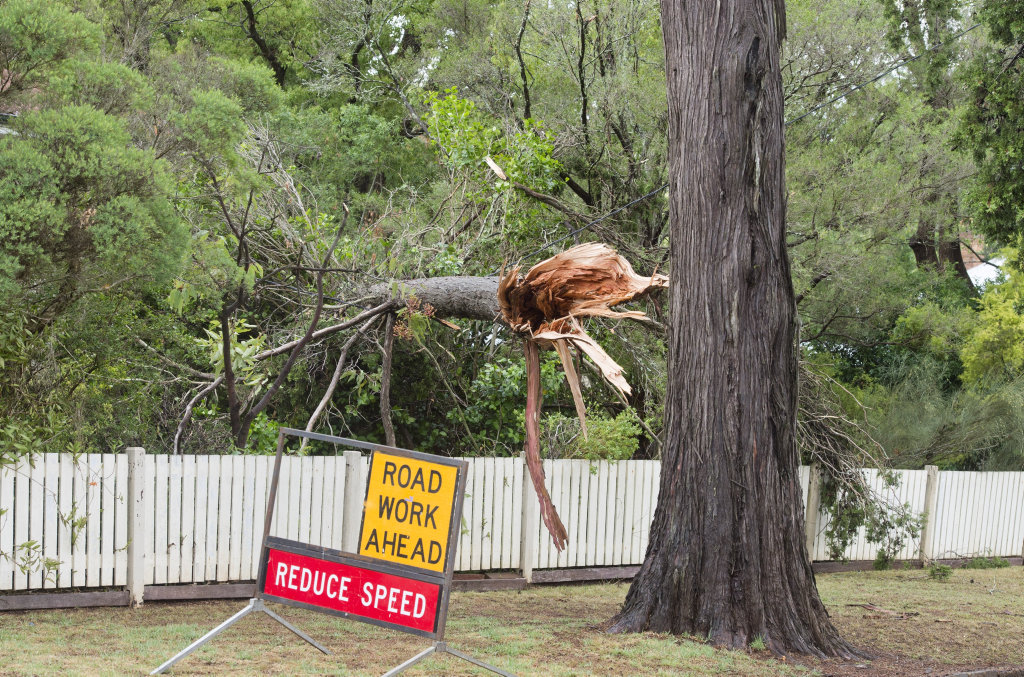 Fallen tree limb on corner of Campbell St and Lydwin Crescent due to strong winds in storm. Fallen tree limb on corner of Campbell St and Lydwin Crescent due to strong winds in storm.