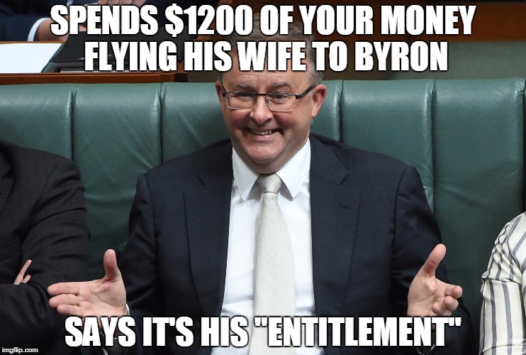 Anthony Albanese says his expenses claims are his Anthony Albanese says his expenses claims are his
