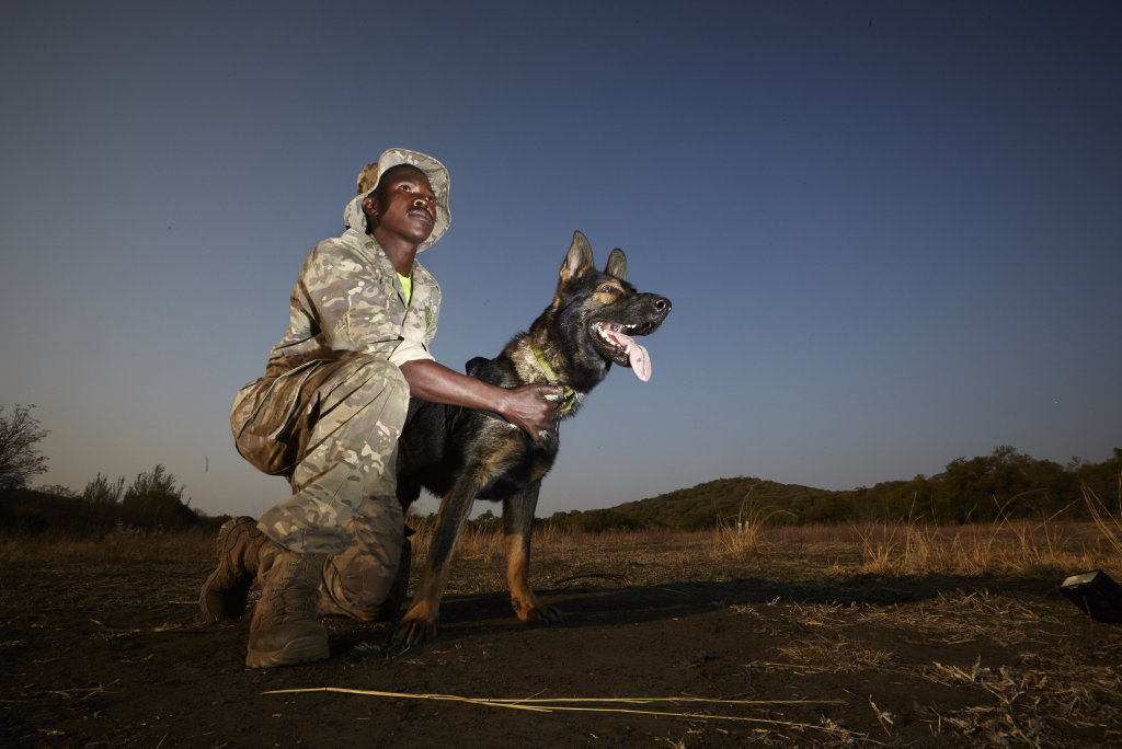 Dog handler Elliot Moseselani and his dog in a scene from the TV series Dogs: The Untold Story. Dog handler Elliot Moseselani and his dog in a scene from the TV series Dogs: The Untold Story.
