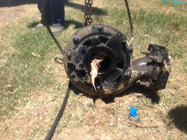 Pump blockage causes waste spill in the Condamine River. Pump blockage causes waste spill in the Condamine River.