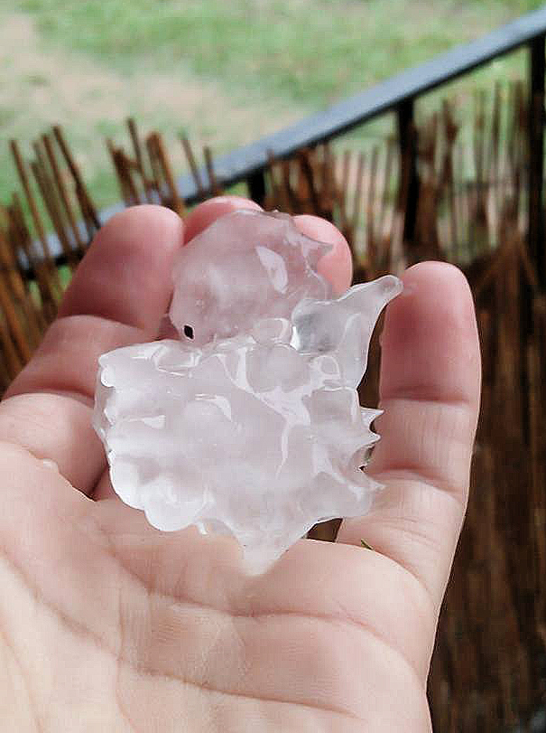 Annie Clarke took this photo of hail that fell at her home in Riverview on Sunday afternoon. Annie Clarke took this photo of hail that fell at her home in Riverview on Sunday afternoon.