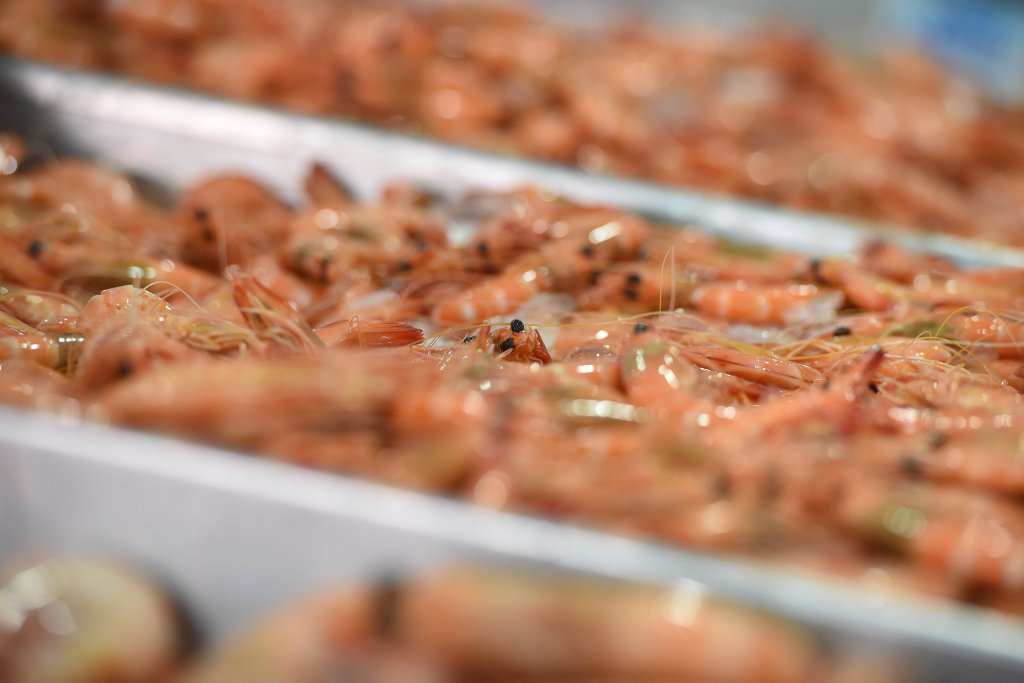 IN DEMAND: Prawns are popular over the festive season. IN DEMAND: Prawns are popular over the festive season.