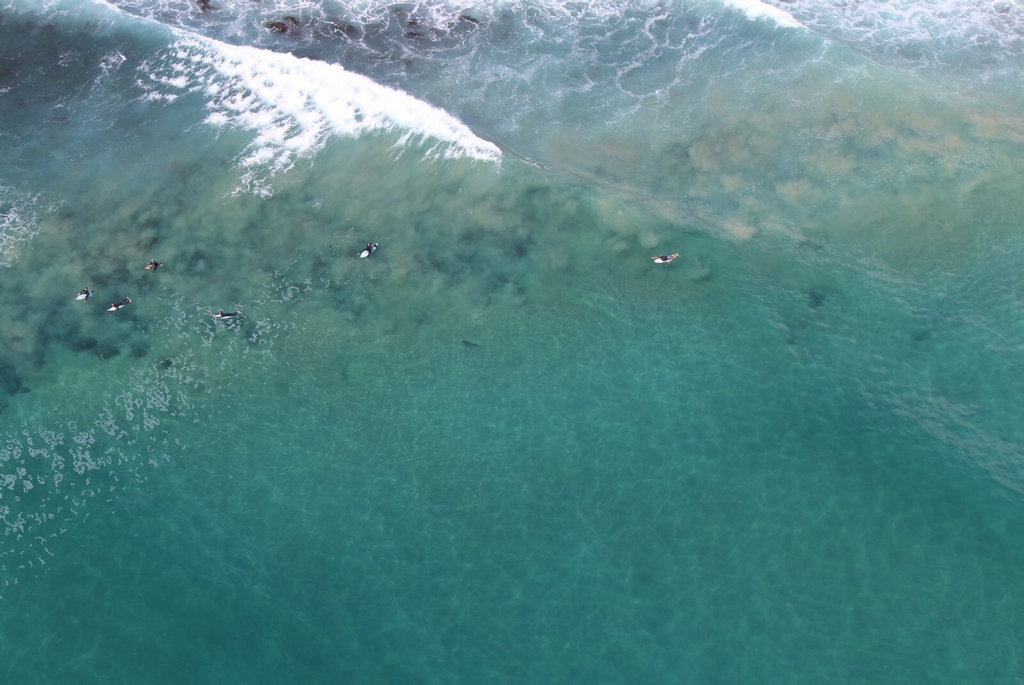 A photo of a shark at Boulder Beach, Skennars Head. A photo of a shark at Boulder Beach, Skennars Head.