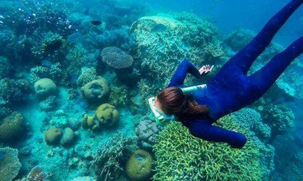 Kayla Palaniuk snorkeling on the Great Barrier Reef.  I Am Summer 2016 Toowoomba.